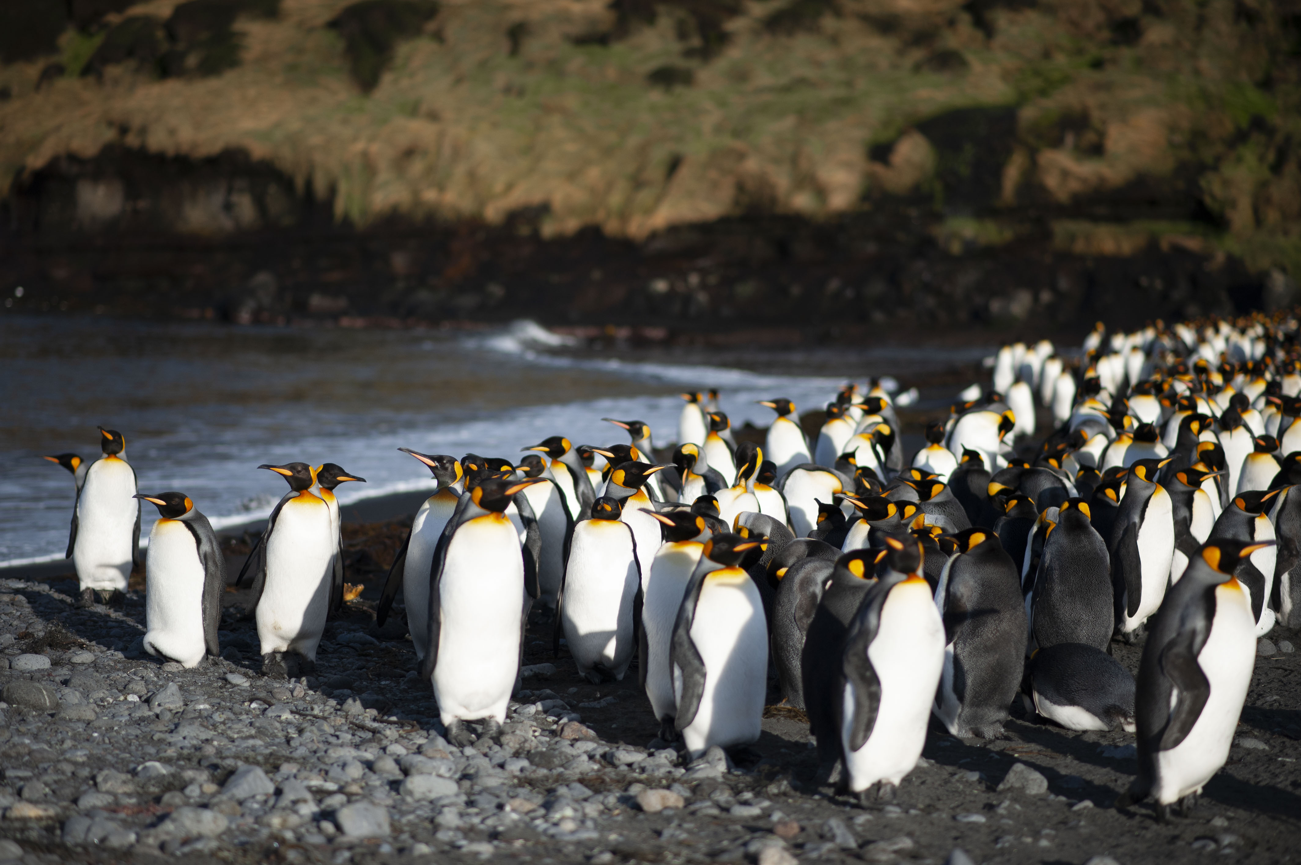 GYT 20220701 135525  DSC6290